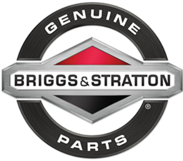 495606 Briggs and Stratton Carburetor Overhaul Kit 494624